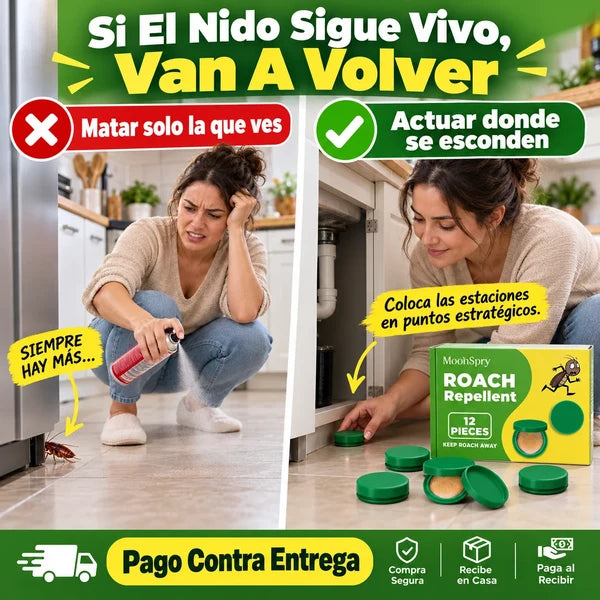 CAPSULAS DE CEBO PARA CUCARACHA