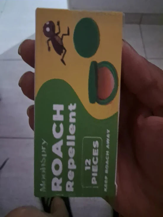 Ya No Veo Cucarachas Cada Noche