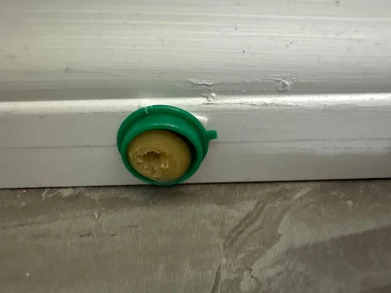 Por Fin Dejaron De Aparecer En La Cocina